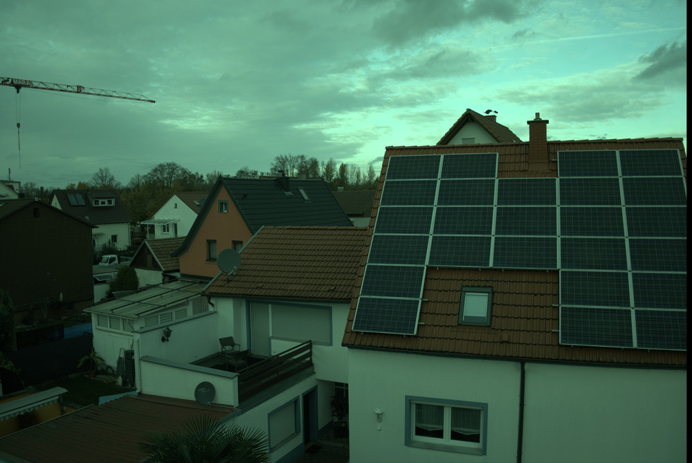 dcraw-demosaiced image showing a heavy green tint due to wrong white balance